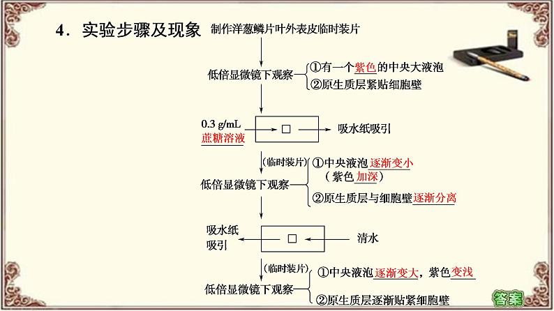 （新）人教版必修1：第4章 第1节 第2课时　探究植物细胞的吸水和失水与被动运输 PPT课件06