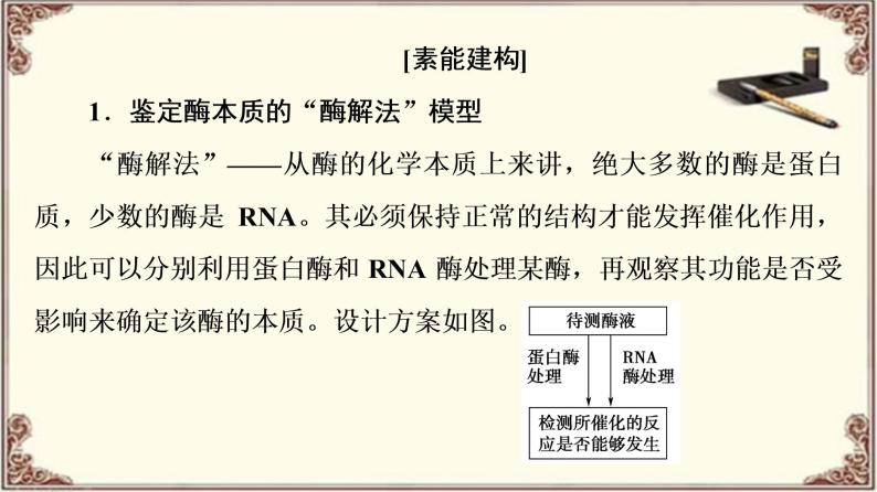 （新）人教版必修1：第5章 素能提升课　酶的相关设计和分析 PPT课件03