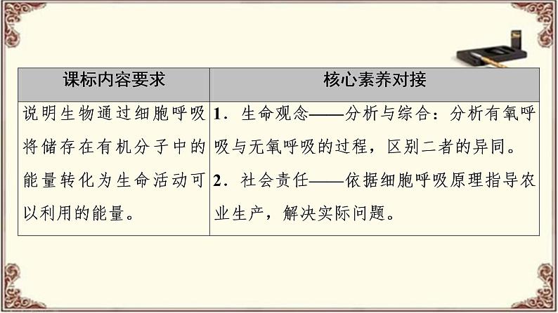 （新）人教版必修1：第5章 第3节 第2课时　无氧呼吸、细胞呼吸原理的应用 PPT课件02