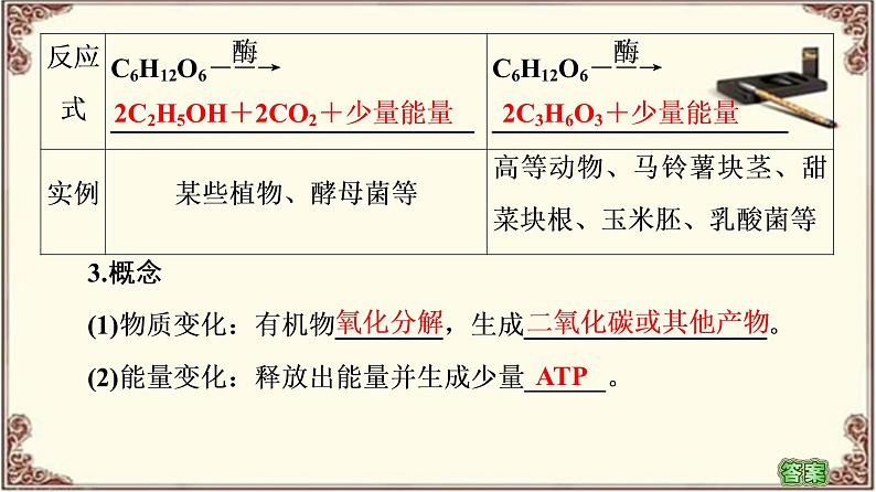 （新）人教版必修1：第5章 第3节 第2课时　无氧呼吸、细胞呼吸原理的应用 PPT课件05