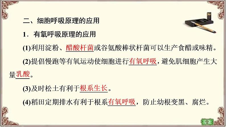 （新）人教版必修1：第5章 第3节 第2课时　无氧呼吸、细胞呼吸原理的应用 PPT课件06