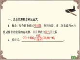 （新）人教版必修1：第5章 第4节 第2课时　光合作用的原理和应用 PPT课件