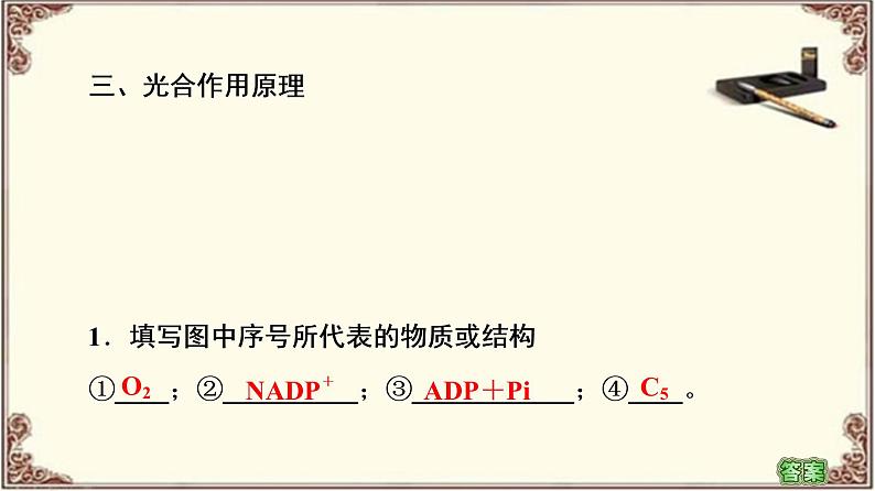 （新）人教版必修1：第5章 第4节 第2课时　光合作用的原理和应用 PPT课件07