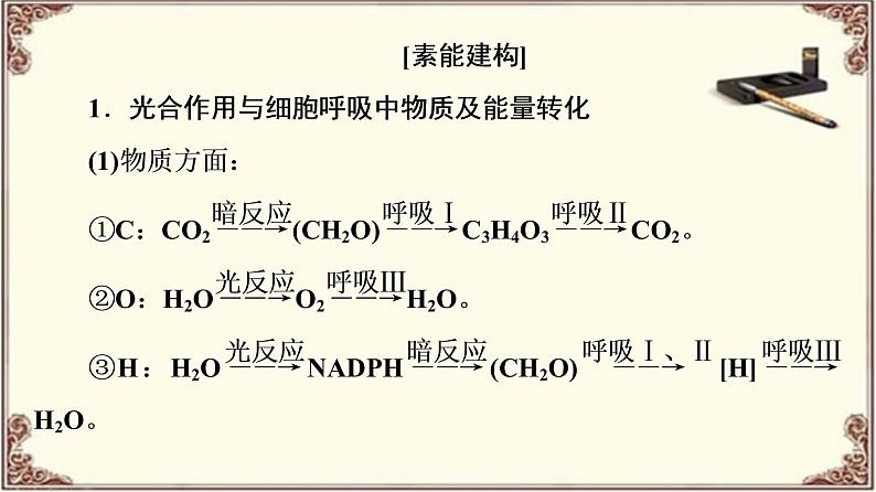 （新）人教版必修1：第5章 素能提升课　光合作用和细胞呼吸过程的综合 PPT课件03