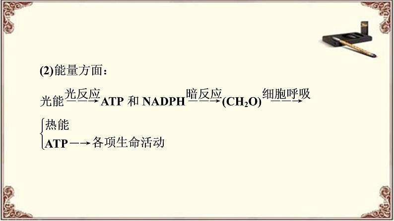 （新）人教版必修1：第5章 素能提升课　光合作用和细胞呼吸过程的综合 PPT课件04