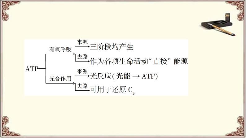 （新）人教版必修1：第5章 素能提升课　光合作用和细胞呼吸过程的综合 PPT课件06