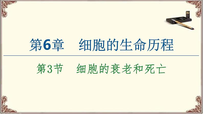 （新）人教版必修1：第6章 第3节　细胞的衰老和死亡 PPT课件01