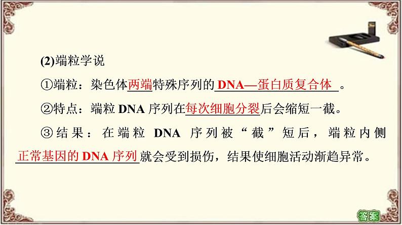 （新）人教版必修1：第6章 第3节　细胞的衰老和死亡 PPT课件06