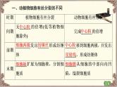 （新）人教版必修1：第6章 第1节 第2课时　动物细胞的有丝分裂、观察根尖分生区组织细胞的有丝分裂 PPT课件