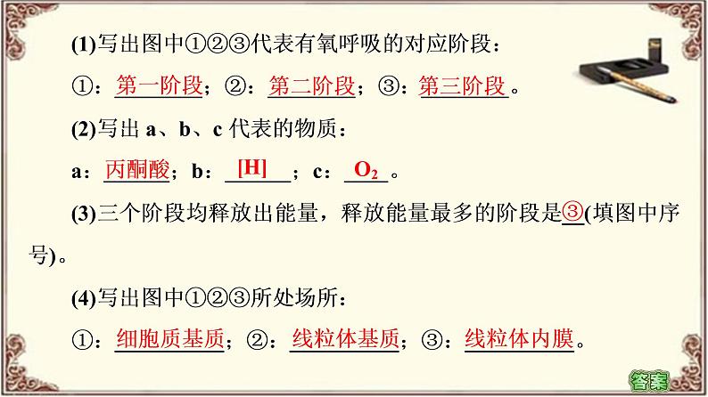 （新）人教版必修1：第5章 第3节 第1课时　细胞呼吸的方式及有氧呼吸 PPT课件08