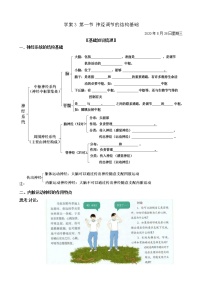 人教版 (2019)选择性必修1第1节 神经调节的结构基础导学案