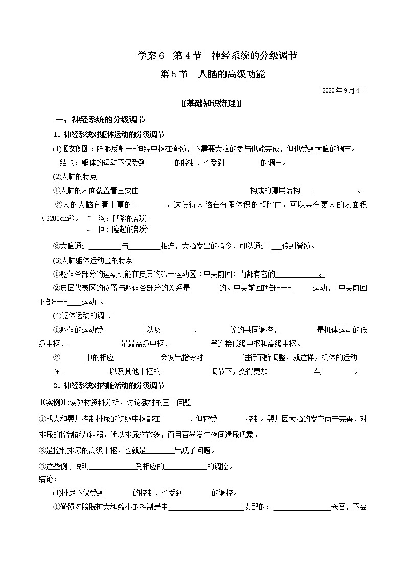 2.4,5 神经系统的分级调节 人脑的高级功能 学案 【新教材】人教版（2019）高中生物选择性必修101