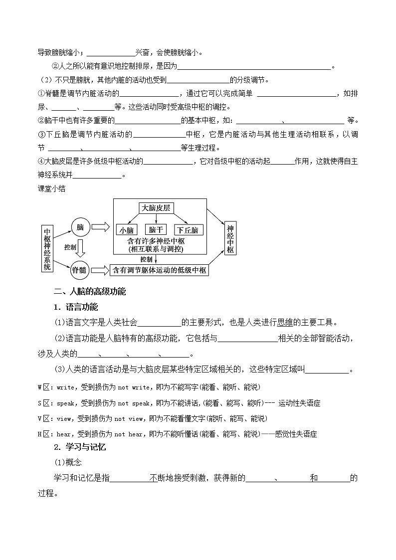 2.4,5 神经系统的分级调节 人脑的高级功能 学案 【新教材】人教版（2019）高中生物选择性必修102