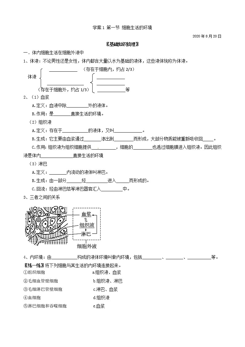1.1细胞生活的环境 学案 【新教材】人教版（2019）高中生物选择性必修101