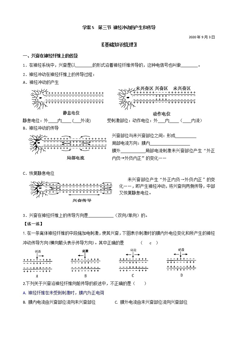 2.3 神经冲动的产生和传导 学案 【新教材】人教版（2019）高中生物选择性必修101