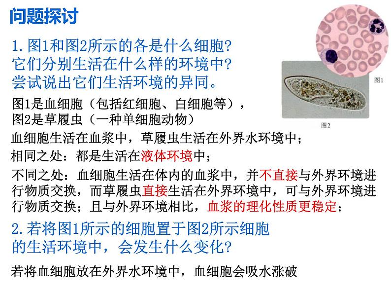 1.1 细胞生活的环境  课件【新教材】人教版（2019）高中生物选择性必修1 （50张PPT）01