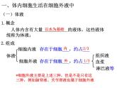 1.1 細(xì)胞生活的環(huán)境  課件【新教材】人教版（2019）高中生物選擇性必修1 （50張PPT）