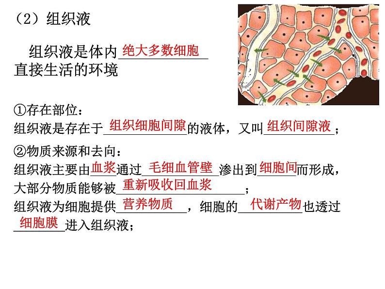 1.1 细胞生活的环境  课件【新教材】人教版（2019）高中生物选择性必修1 （50张PPT）08