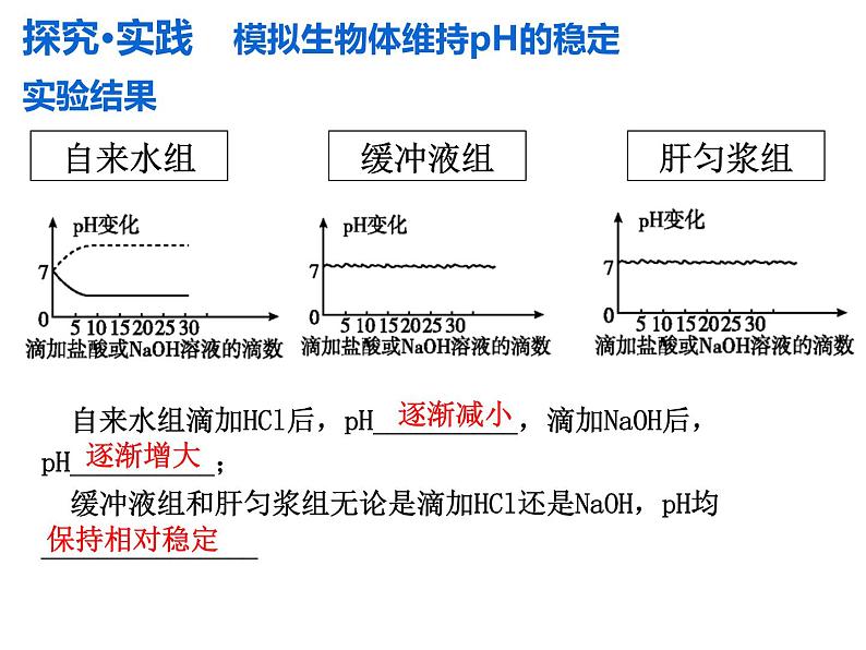 1.2 内环境的稳态  课件 人教版（2019）选择性必修108