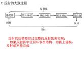 2.2 神经调节的基本方式  课件【新教材】人教版（2019）高中生物选择性必修1（34张PPT）