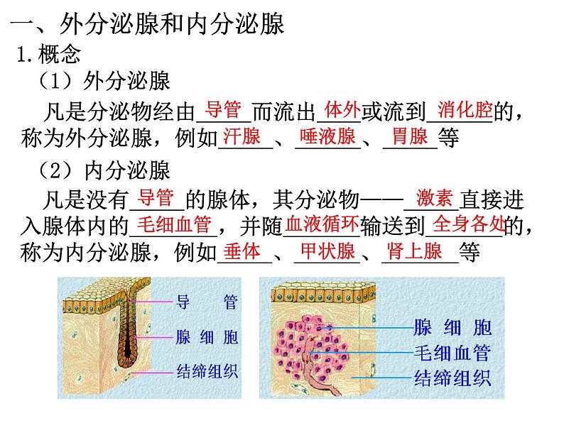 3.1 激素与内分泌系统 课件【新教材】人教版（2019）高中生物选择性必修103