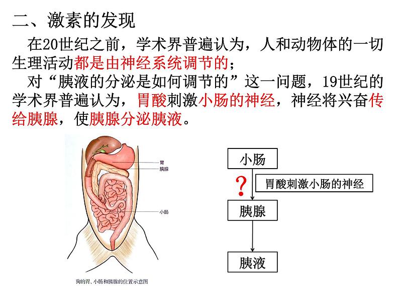 3.1 激素与内分泌系统 课件【新教材】人教版（2019）高中生物选择性必修107