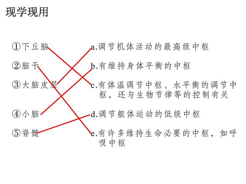 2.1 神经调节的结构基础  课件【新教材】人教版（2019）高中生物选择性必修1（35张PPT）07