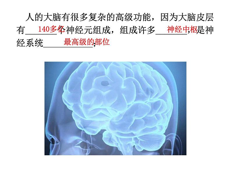 2.5人脑的高级功能  课件 人教版（2019）选择性必修102