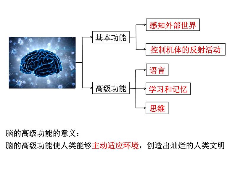 2.5人脑的高级功能  课件 人教版（2019）选择性必修103