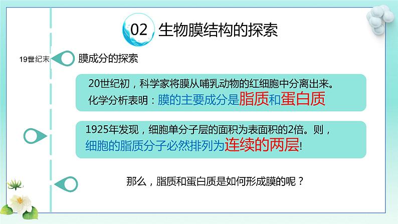 细胞膜的结构和功能（第二课时）课件第6页