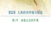 （新）人教版選擇性必修1第1章 第1節(jié)　細(xì)胞生活的環(huán)境 PPT課件