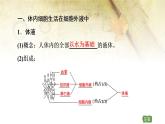 （新）人教版選擇性必修1第1章 第1節(jié)　細(xì)胞生活的環(huán)境 PPT課件