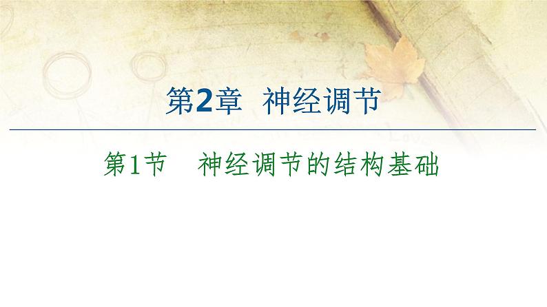 （新）人教版选择性必修1第2章 第1节　神经调节的结构基础 PPT课件01