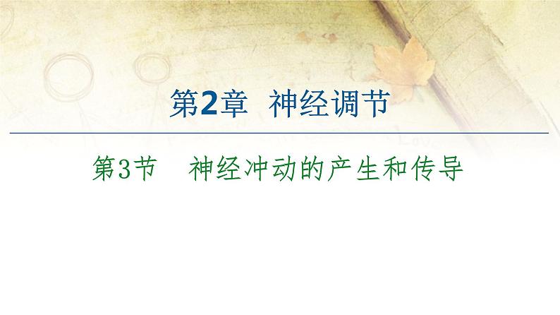 （新）人教版选择性必修1第2章 第3节　神经冲动的产生和传导 PPT课件01