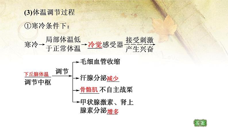 （新）人教版选择性必修1第3章 第3节　体液调节与神经调节的关系 PPT课件08