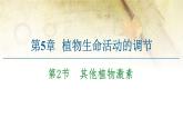 （新）人教版选择性必修1第5章 第2节　其他植物激素 PPT课件