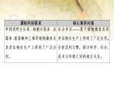 （新）人教版选择性必修1第5章 第3节　植物生长调节剂的应用 PPT课件