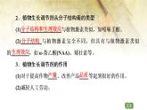 （新）人教版选择性必修1第5章 第3节　植物生长调节剂的应用 PPT课件
