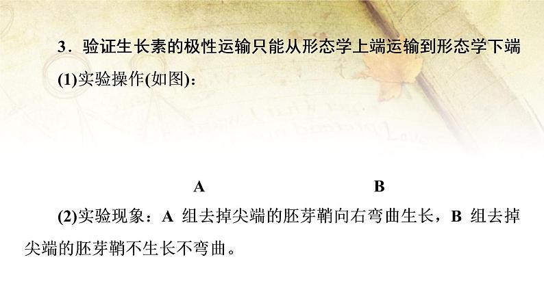 （新）人教版选择性必修1第5章 素能提升课 与生长素有关的实验设计和分析 PPT课件05