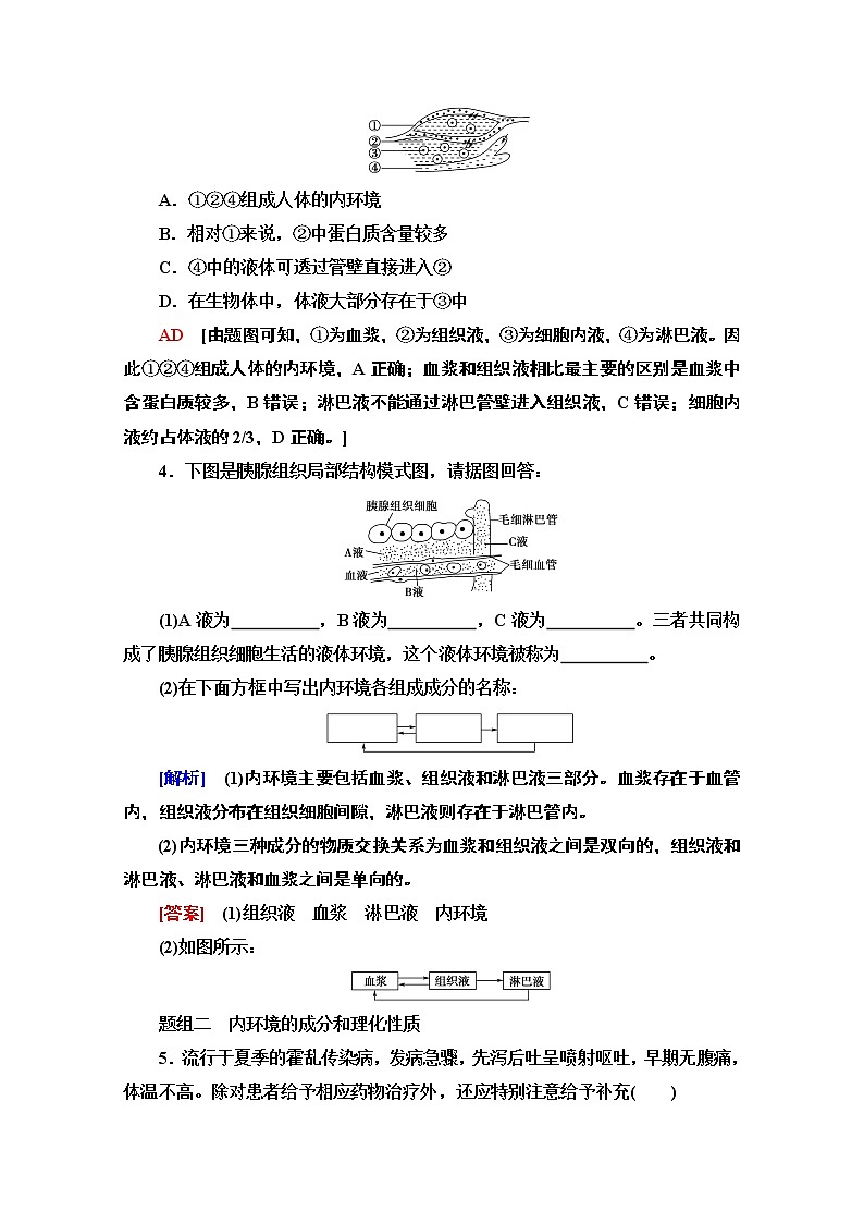 （新）人教版选择性必修1课时分层作业：1.1　细胞生活的环境（含解析） 练习02