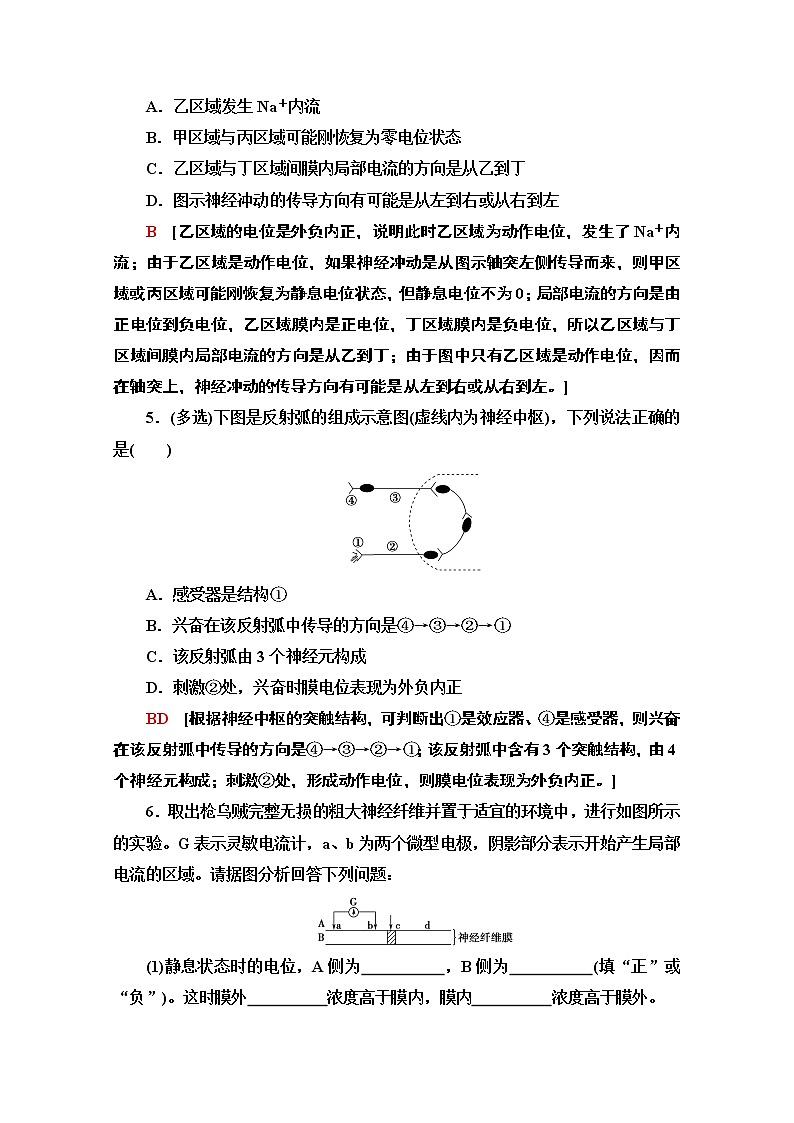 （新）人教版选择性必修1课时分层作业：2.3　神经冲动的产生和传导（含解析） 练习02