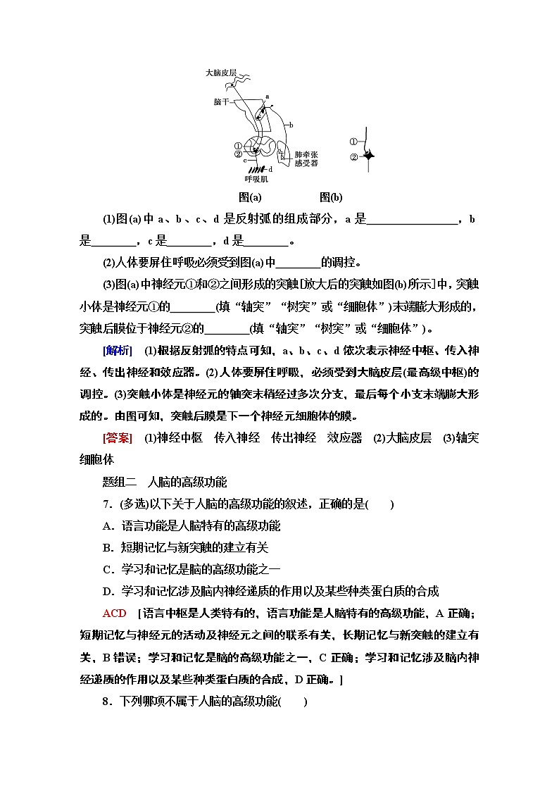（新）人教版选择性必修1课时分层作业：2.4-2.5　神经系统的分级调节　人脑的高级功能（含解析） 练习03