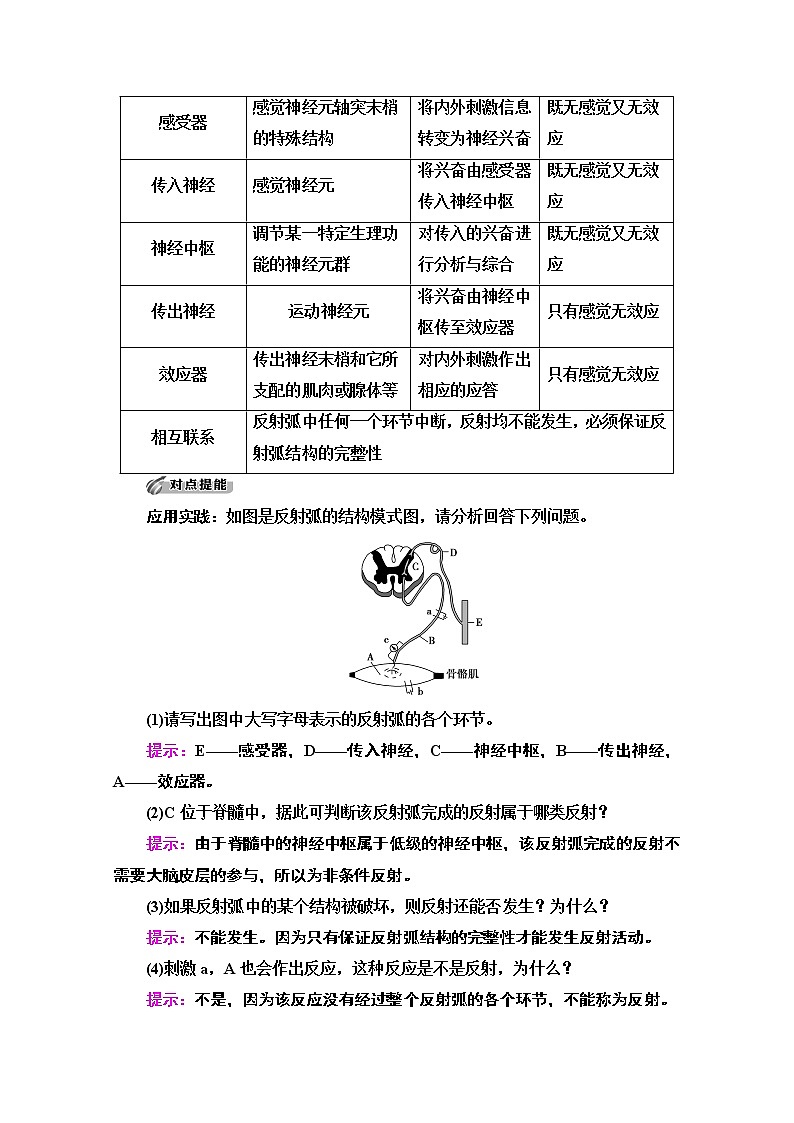 （新）人教版选择性必修1学案：第2章 第2节　神经调节的基本方式（含解析）03