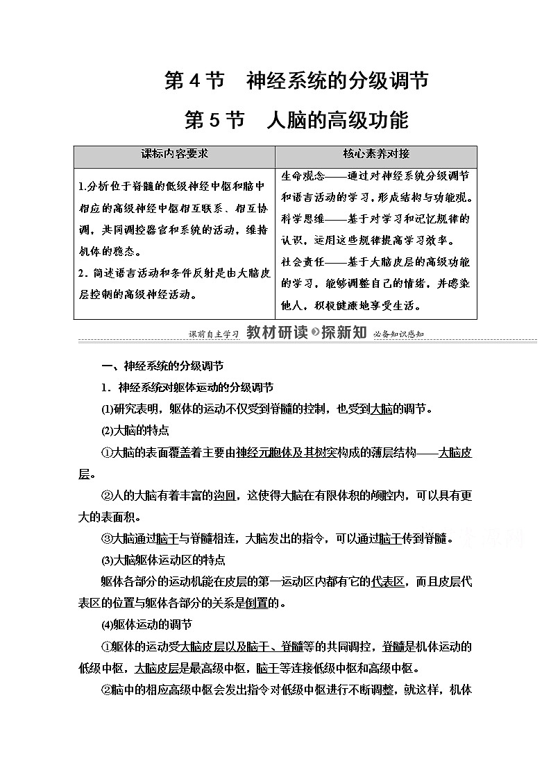 （新）人教版选择性必修1学案：第2章 第4节　神经系统的分级调节 第5节　人脑的高级功能（含解析）01