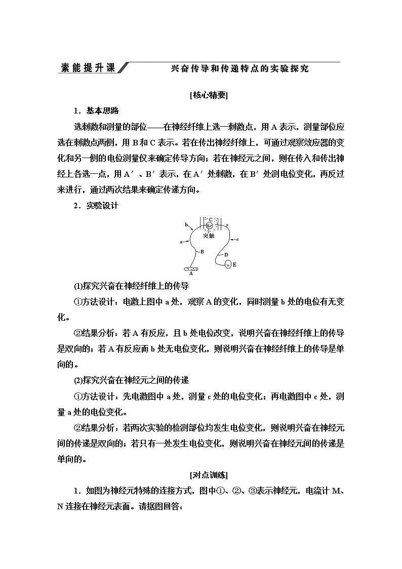 （新）人教版选择性必修1学案：第2章 素养提升课 兴奋传导和传递特点的实验探究（含解析）01
