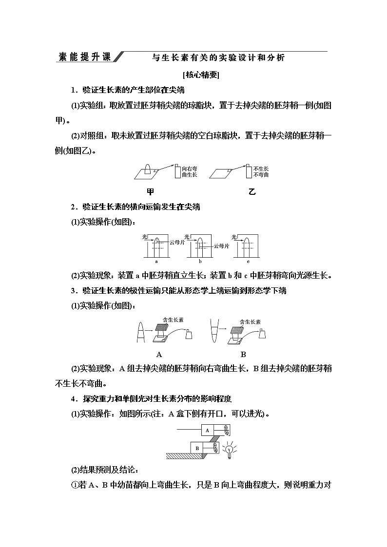 （新）人教版选择性必修1学案：第5章 素能提升课 与生长素有关的实验设计和分析（含解析）01