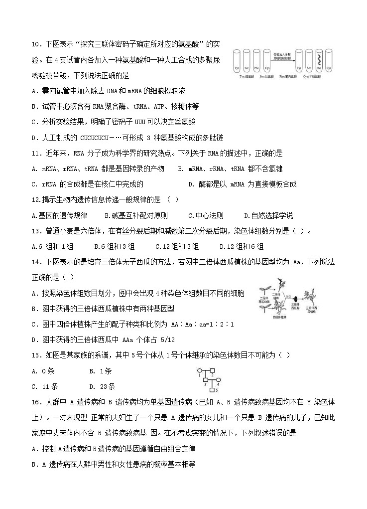 湖南省娄底一中2020_2021学年高二上学期开学考试 生物（含答案）03