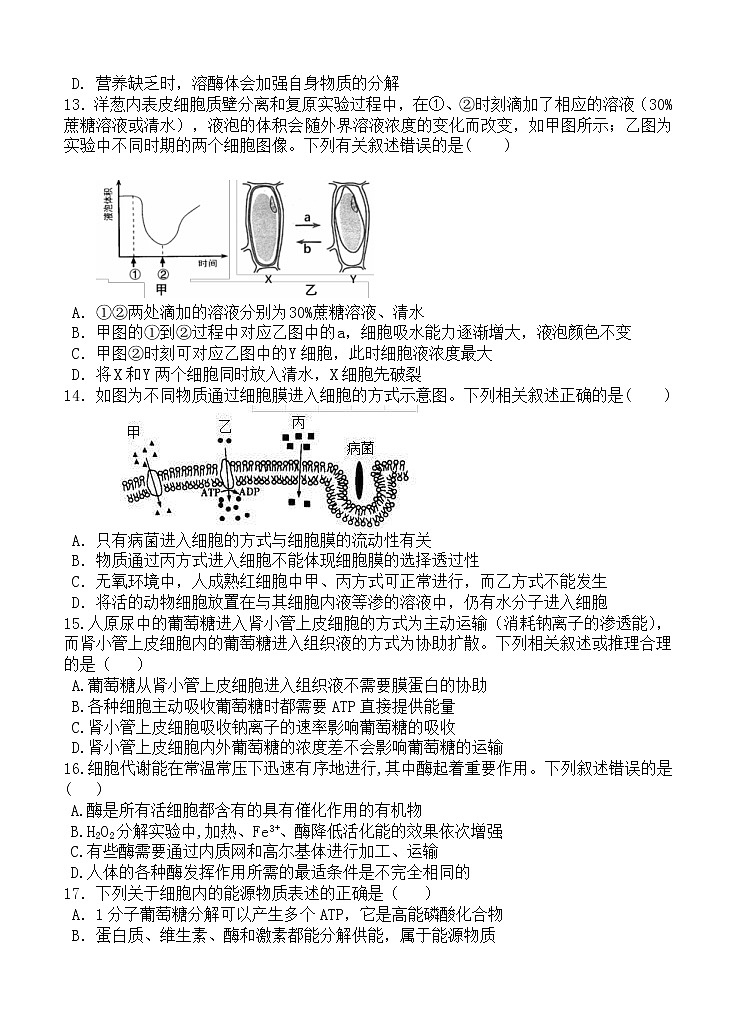 辽宁省六校协作体2021届高三第一次联考 生物（含答案） 试卷03