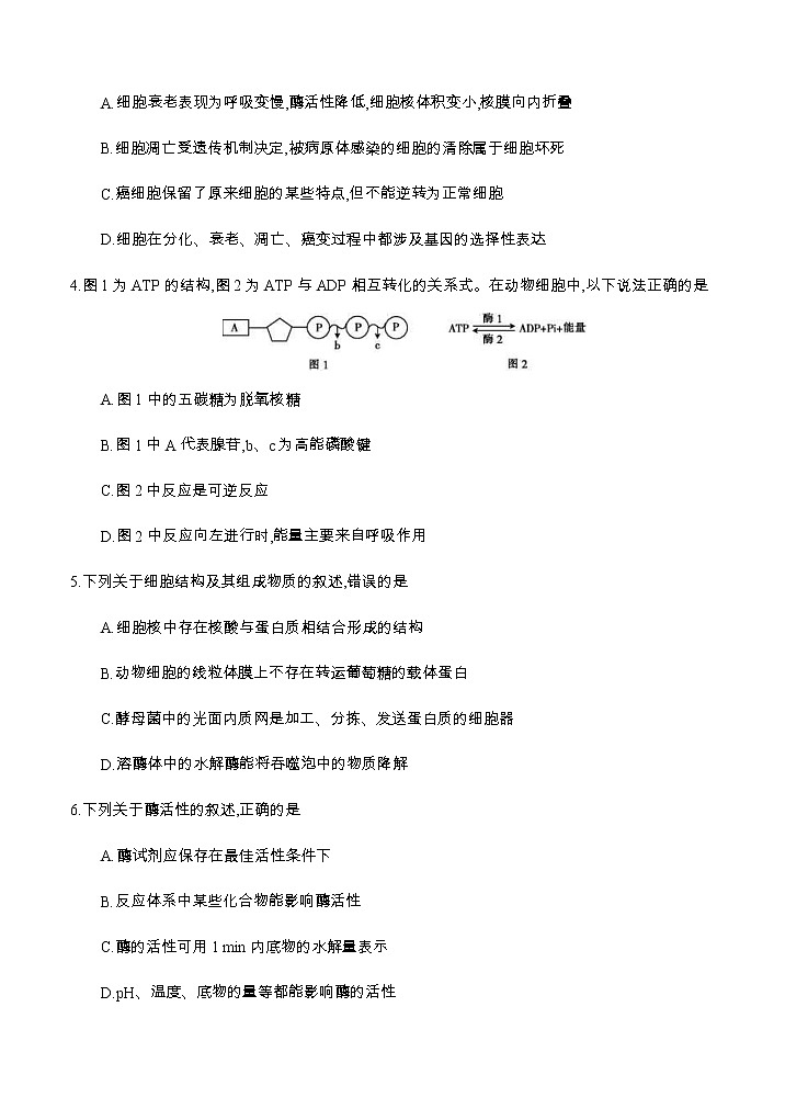 浙江省名校协作体2021届高三上学期开学考试 生物（含答案）02