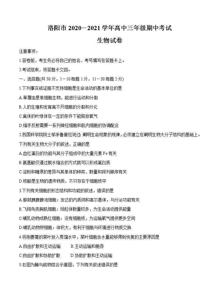 河南省洛阳市2021届高三上学期期中考试 生物（含答案）01